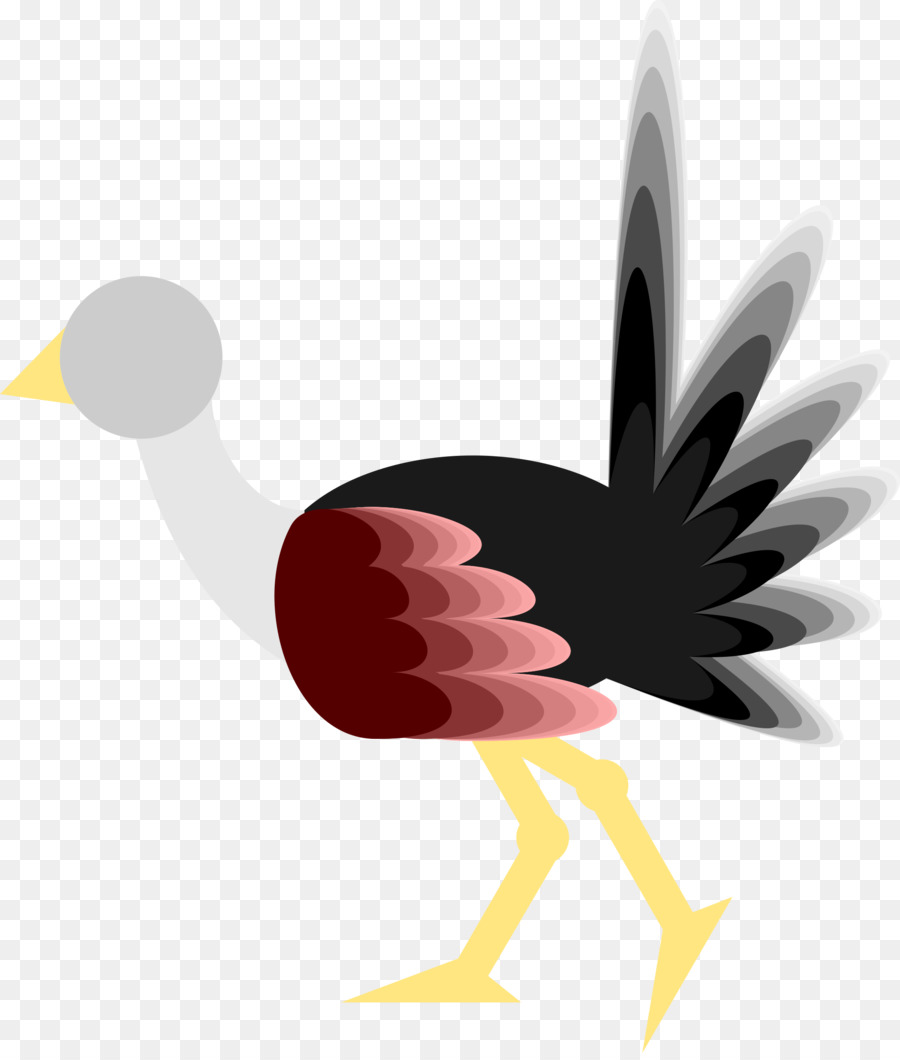 Pájaro，Avestruz Común PNG