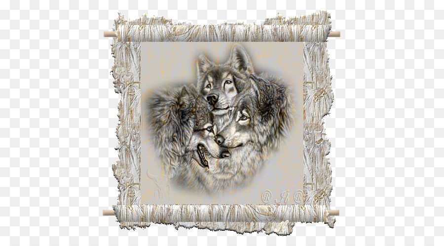 Lobo Tela Decorativa，Lobos PNG