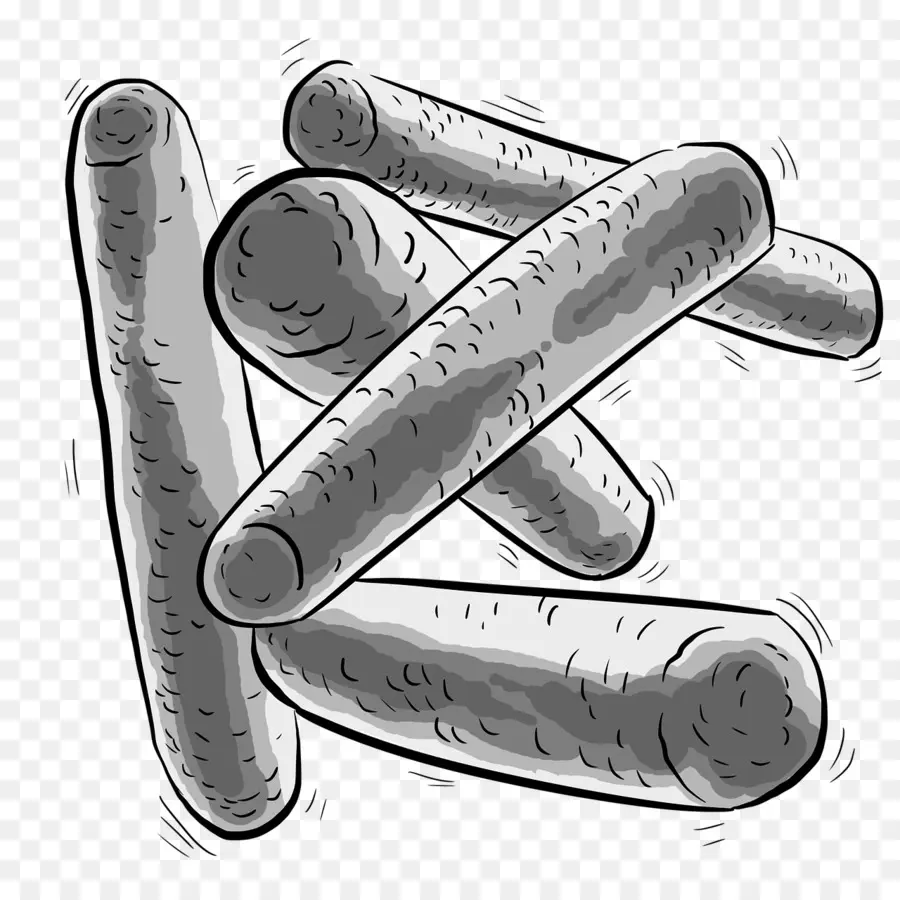 Bacterias，Probiótico PNG