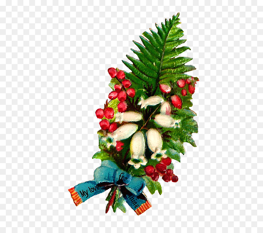 Decoración Navideña，Hojas Perennes PNG