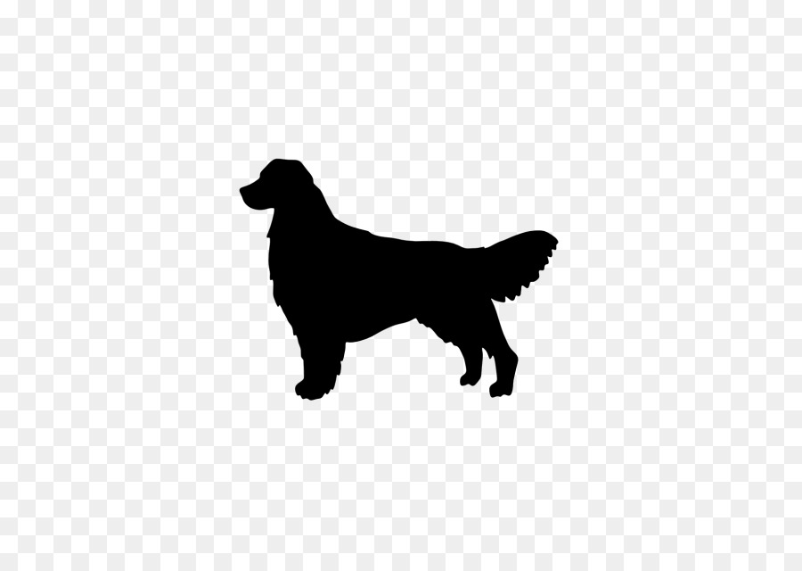 Golden Retriever，Labrador Retriever PNG