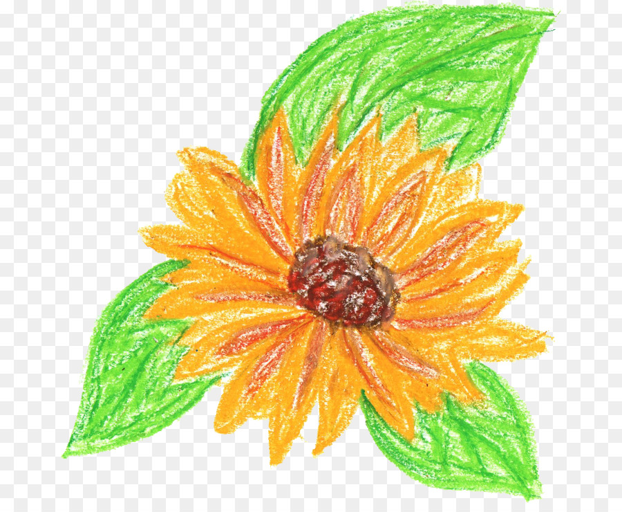 Flor De Naranja，Hojas Verdes PNG