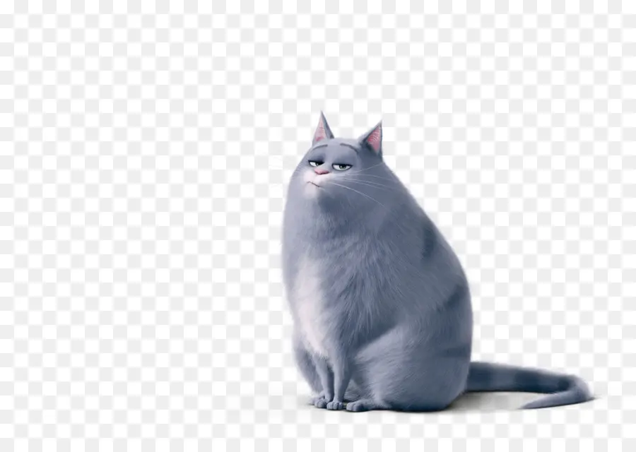 Gato Gordo，Gris PNG