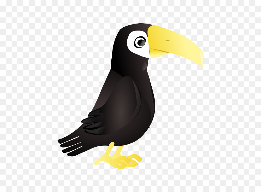 Tucán，Toco Toucan PNG