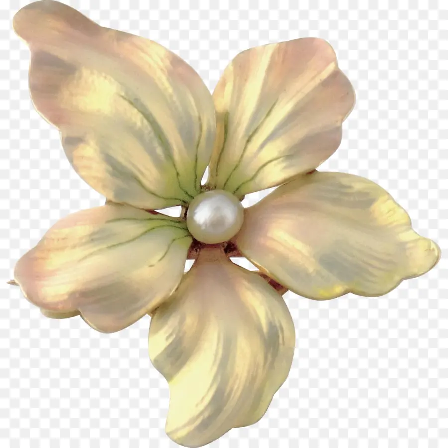 Joyería，Flor PNG