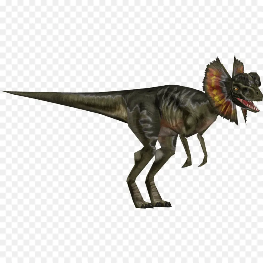 Velociraptor，Dilophosaurus PNG