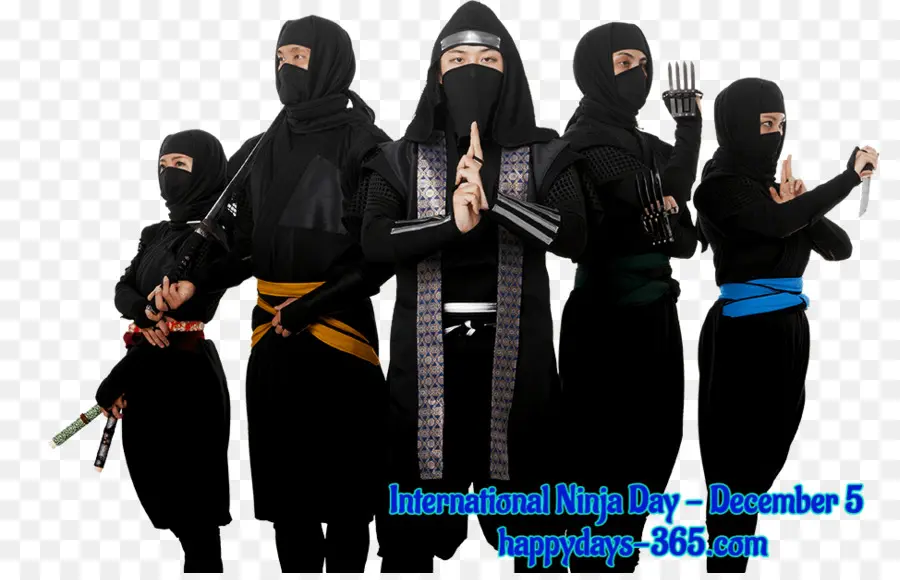 Ninja，Ninja Niñas PNG