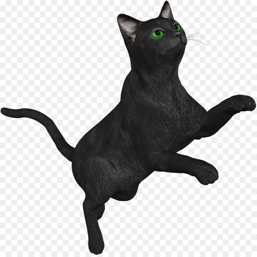 Estatua Del Gato Negro，Animal PNG