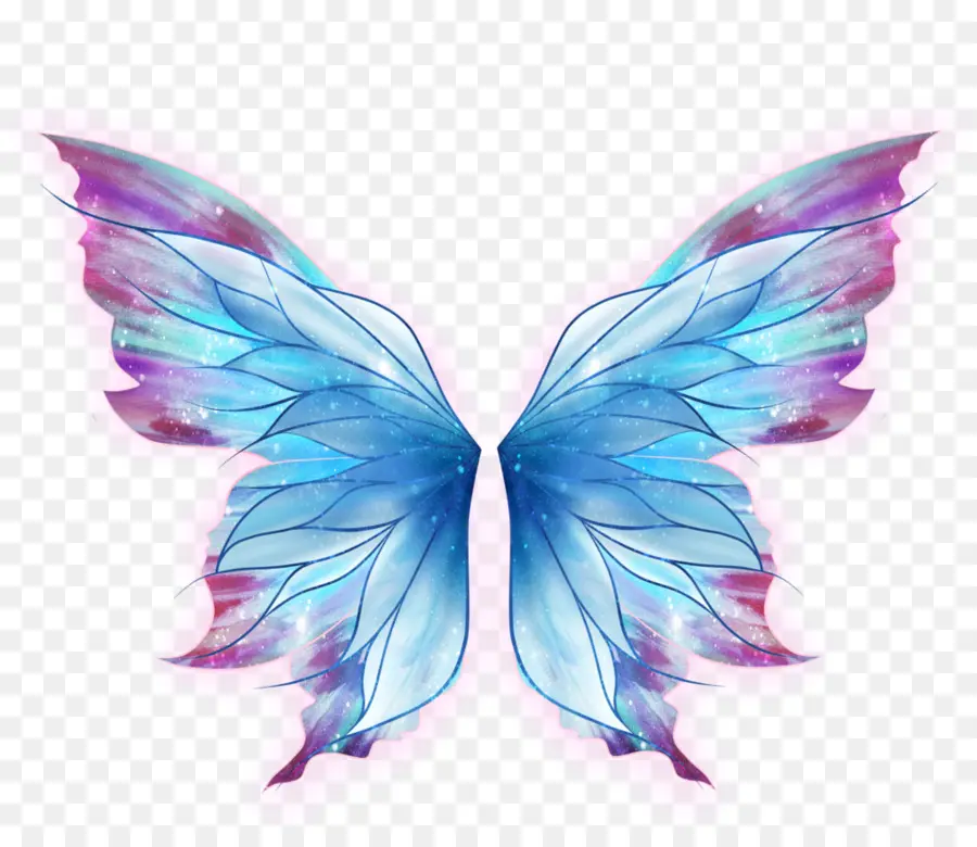 Mariposa，Dibujo PNG