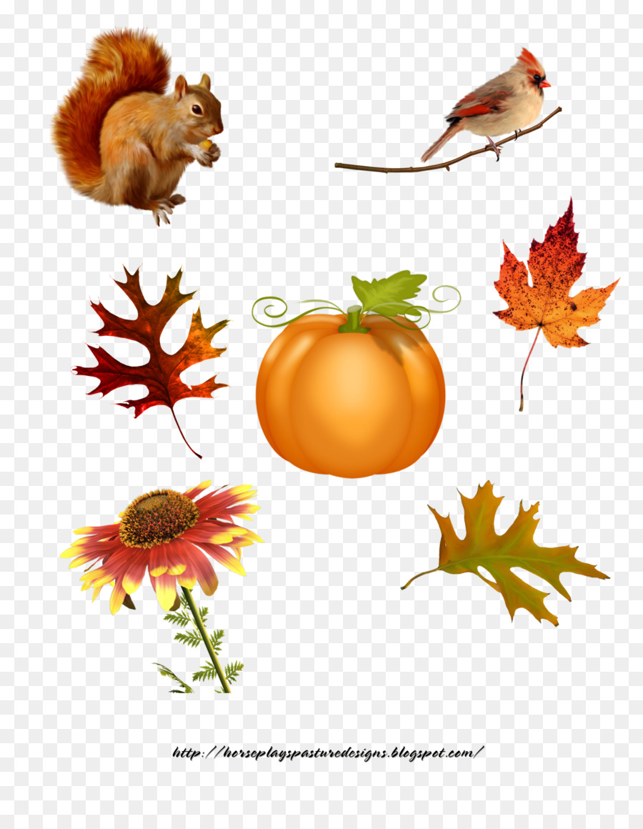 Collage，Otoño PNG