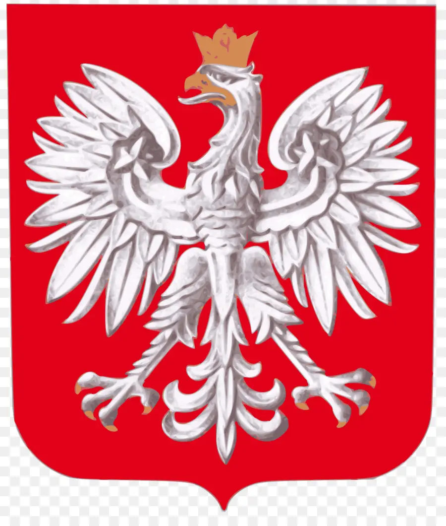 Polonia，Escudo De Armas De Polonia PNG