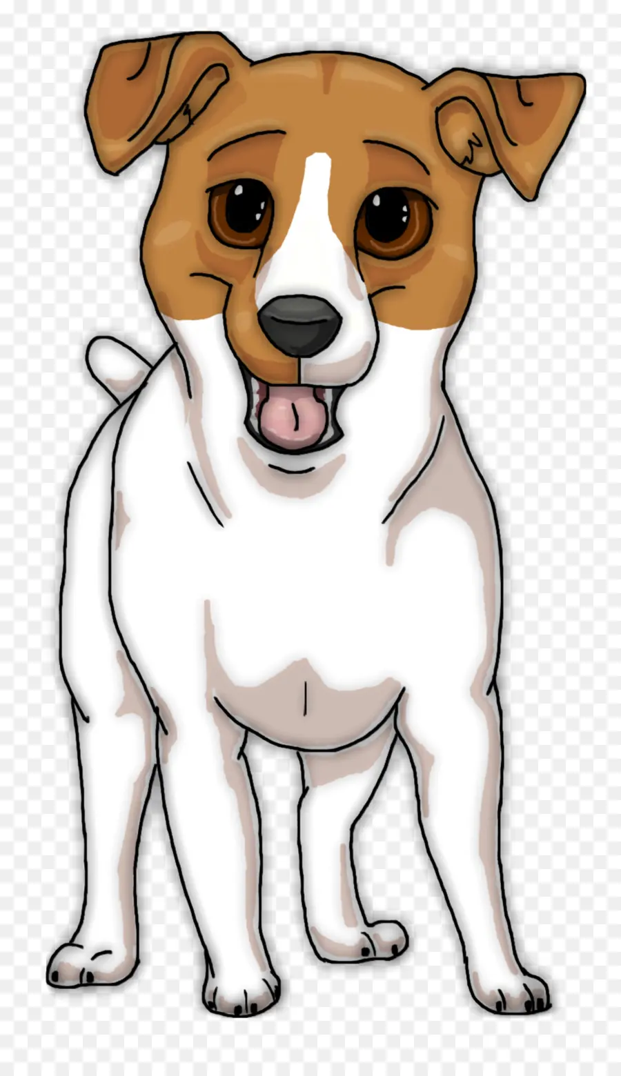 Jack Russell Terrier，Cachorro PNG