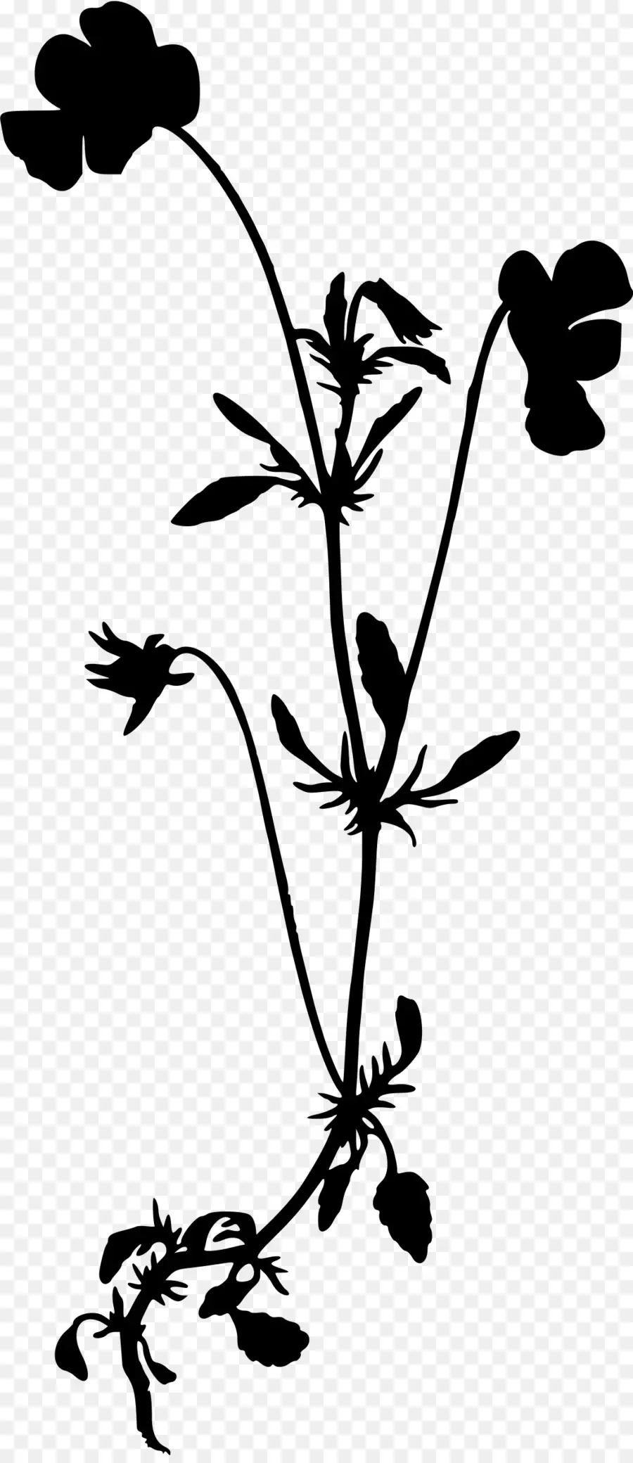 Silueta Negra De Flores，Silueta PNG