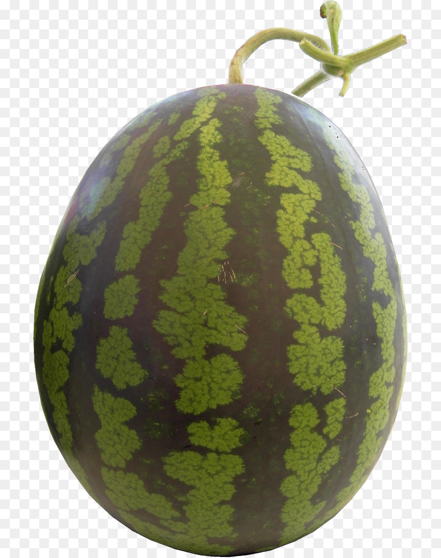 Melón，Cucurbita PNG