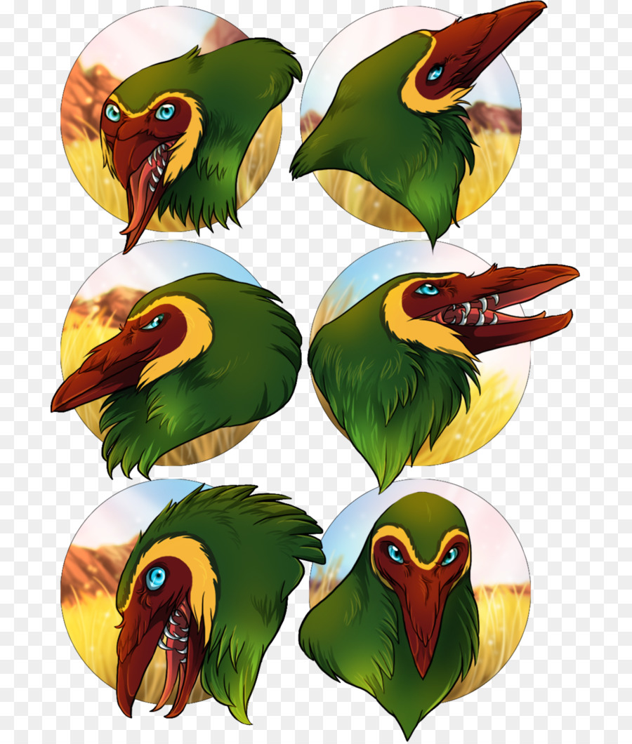 Pájaro，Parrot PNG