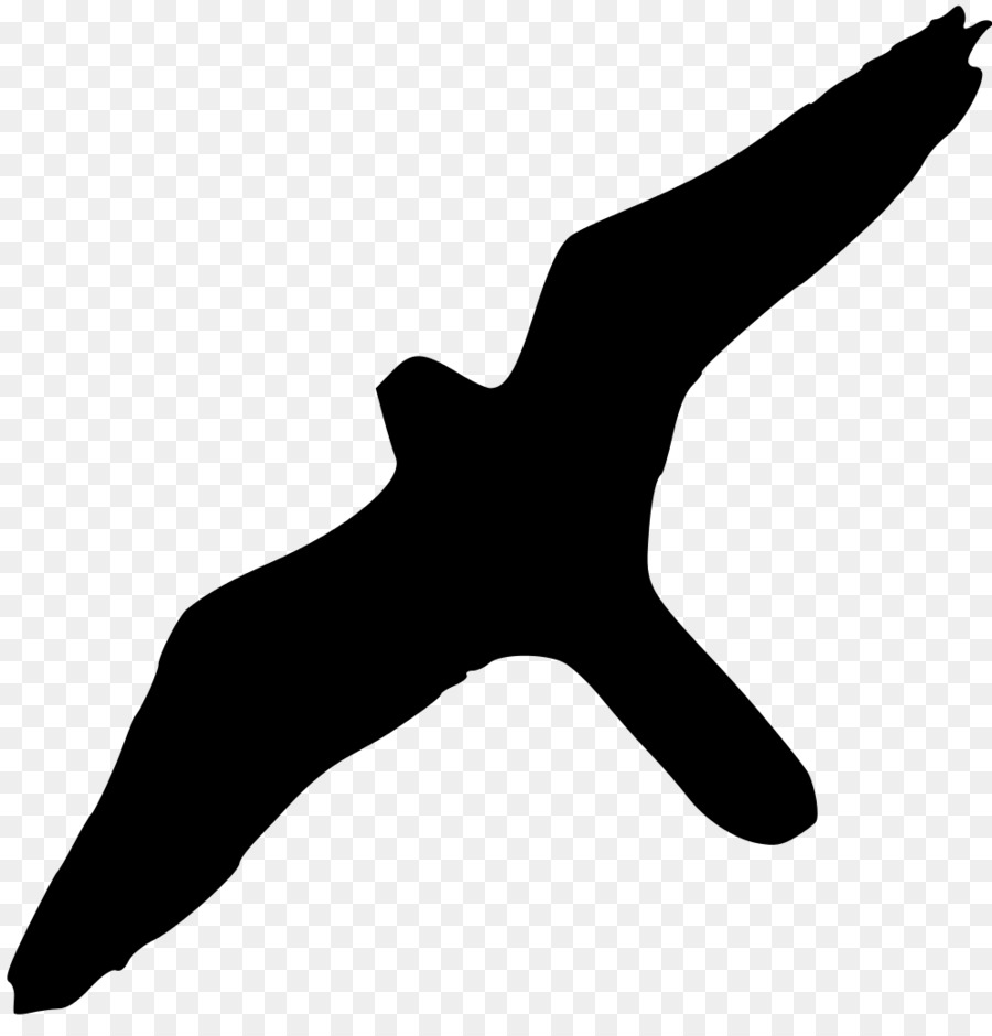 Pájaro，Falcon PNG