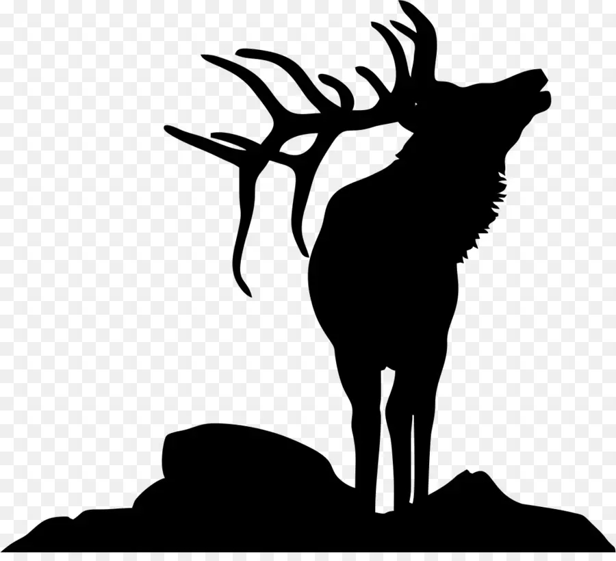 Elk，Los Ciervos PNG