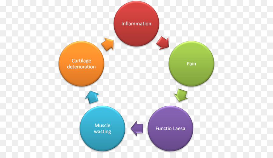 Diagrama De Proceso，Pasos PNG