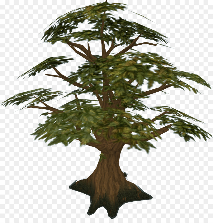 árbol，Runescape PNG