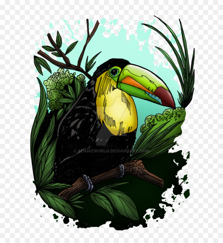 Camiseta，Pájaro PNG