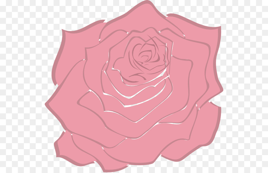 Rosa Rosa，Rosa PNG