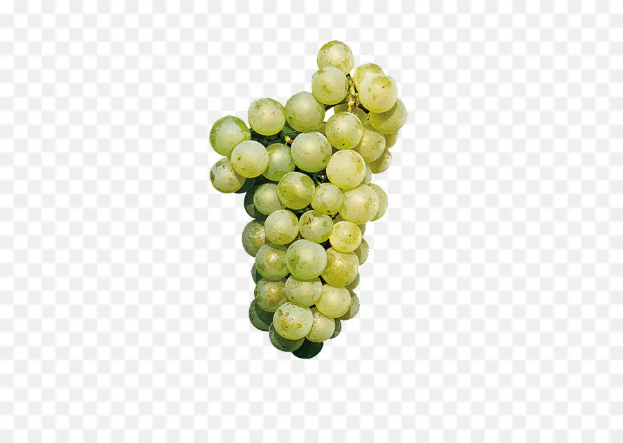 Sauvignon Blanc，Cabernet Sauvignon PNG