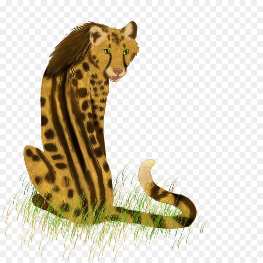 Cheetah，Gato PNG