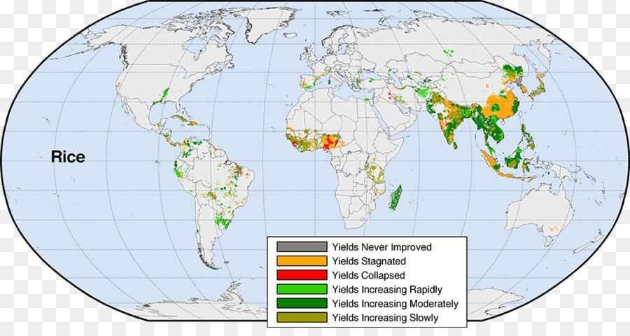 Mundo，Bioma PNG