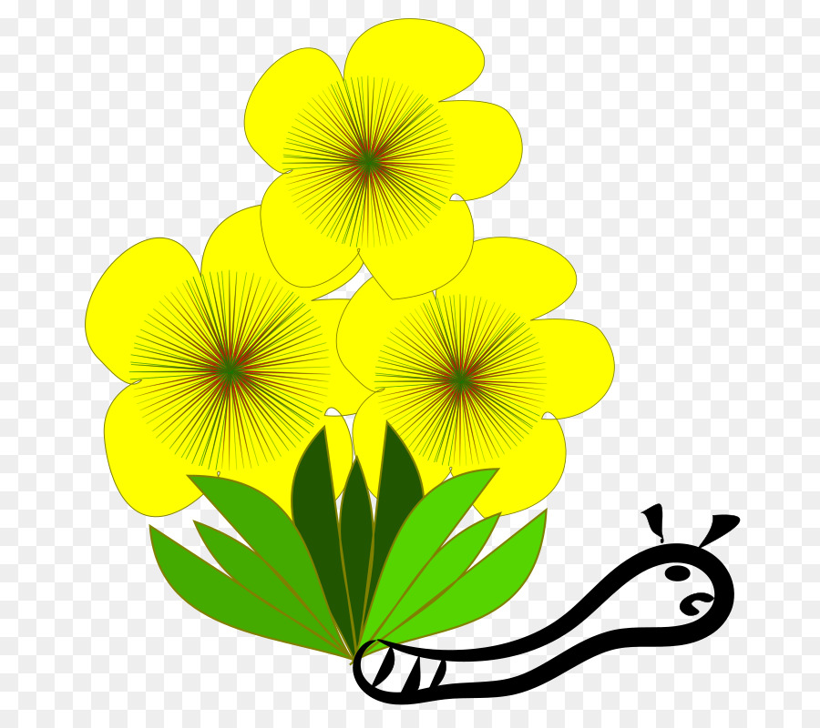 Amarillo，Flor PNG