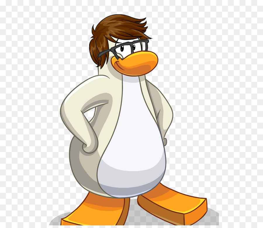 Pingüino，Pájaro PNG