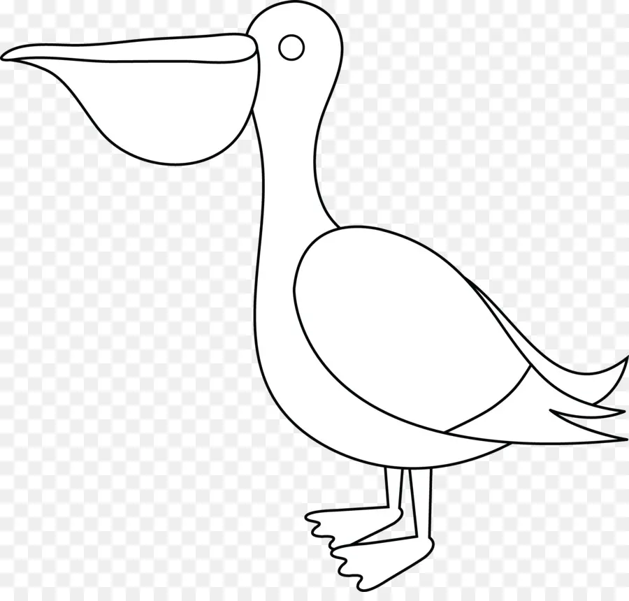 Pelican，Dibujo PNG