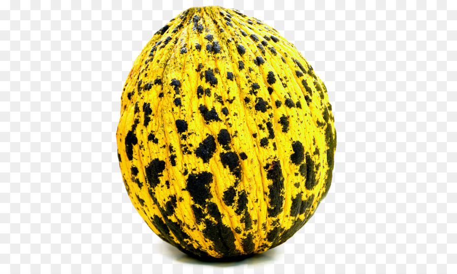 Melón，Cantalupo PNG