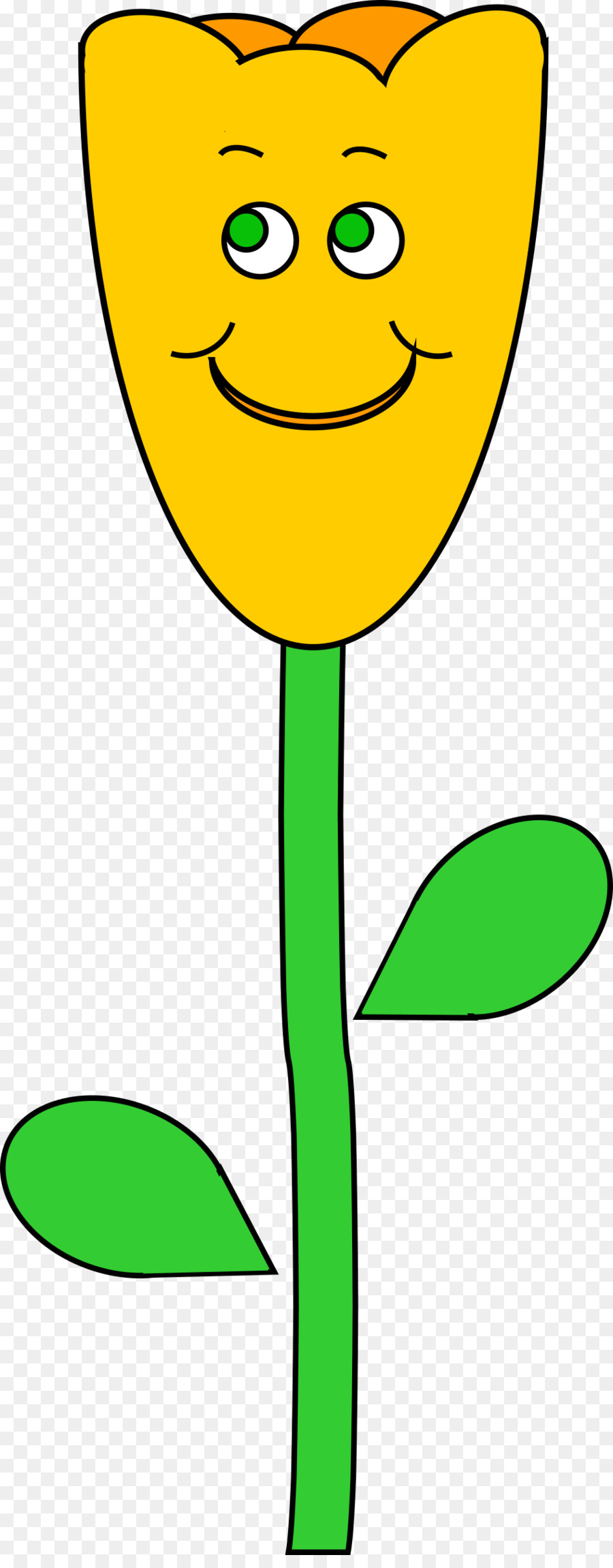 Tulip，Flor PNG