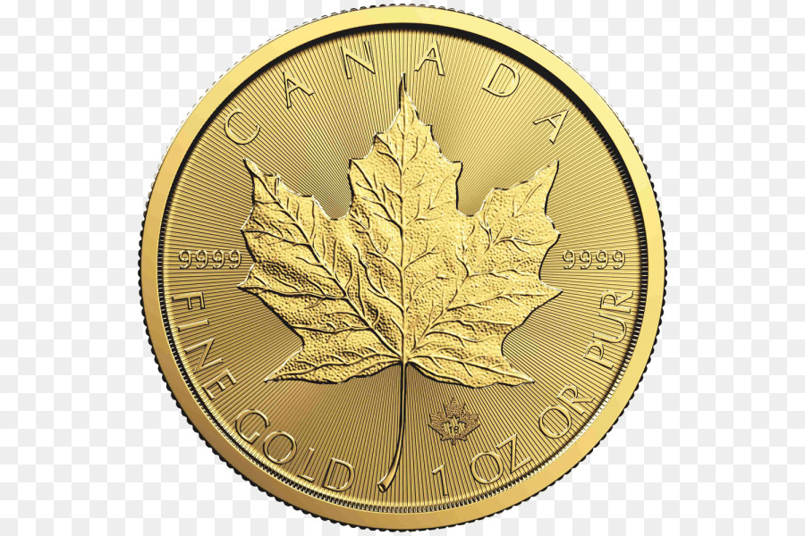 Moneda De Oro，Canadá PNG