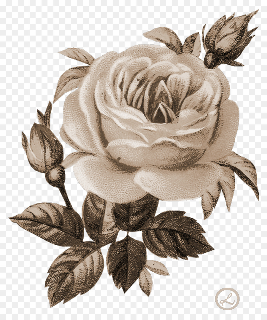 Flor，Decoupage PNG