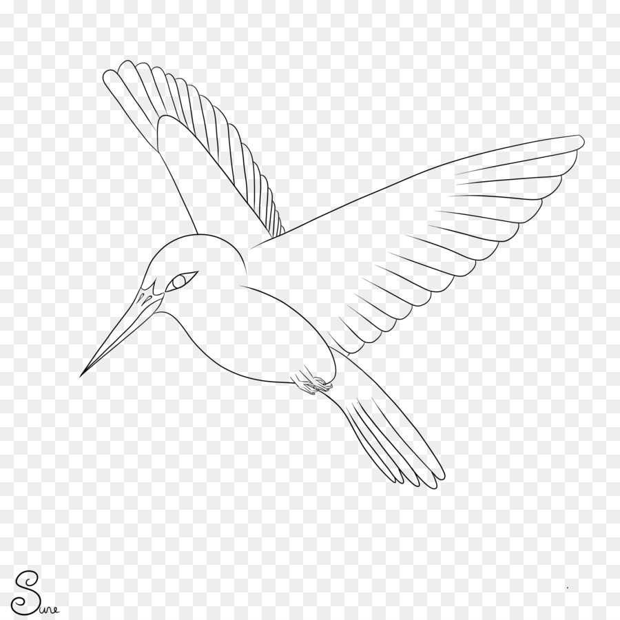 Pájaro，Dibujo PNG