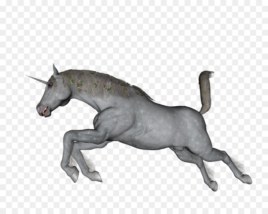 Unicornio，Semental PNG