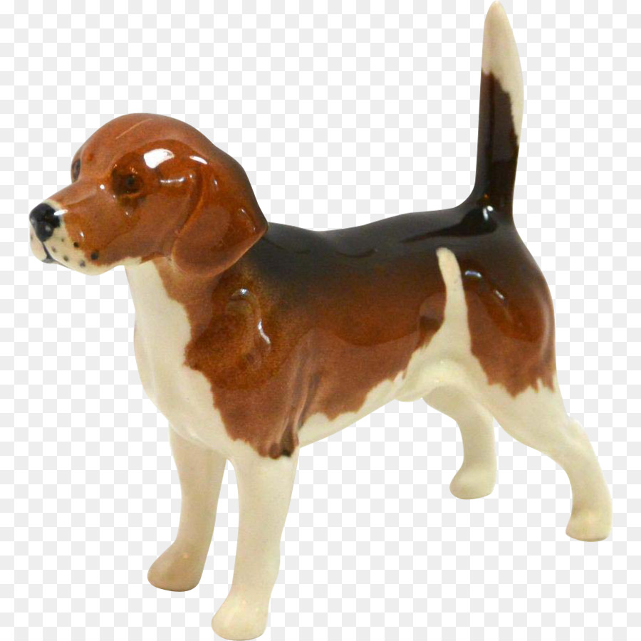 Perro Beagle，Mascota PNG