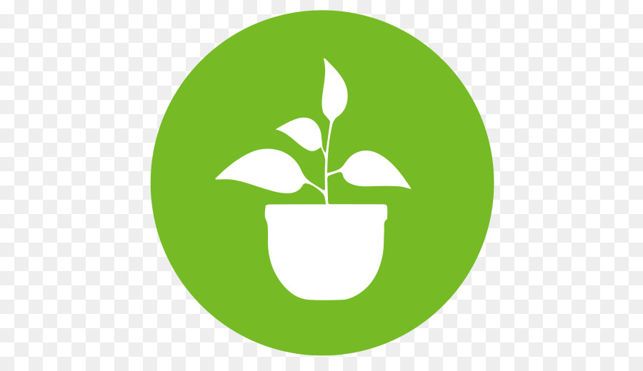 Planta En Maceta，Verdor PNG