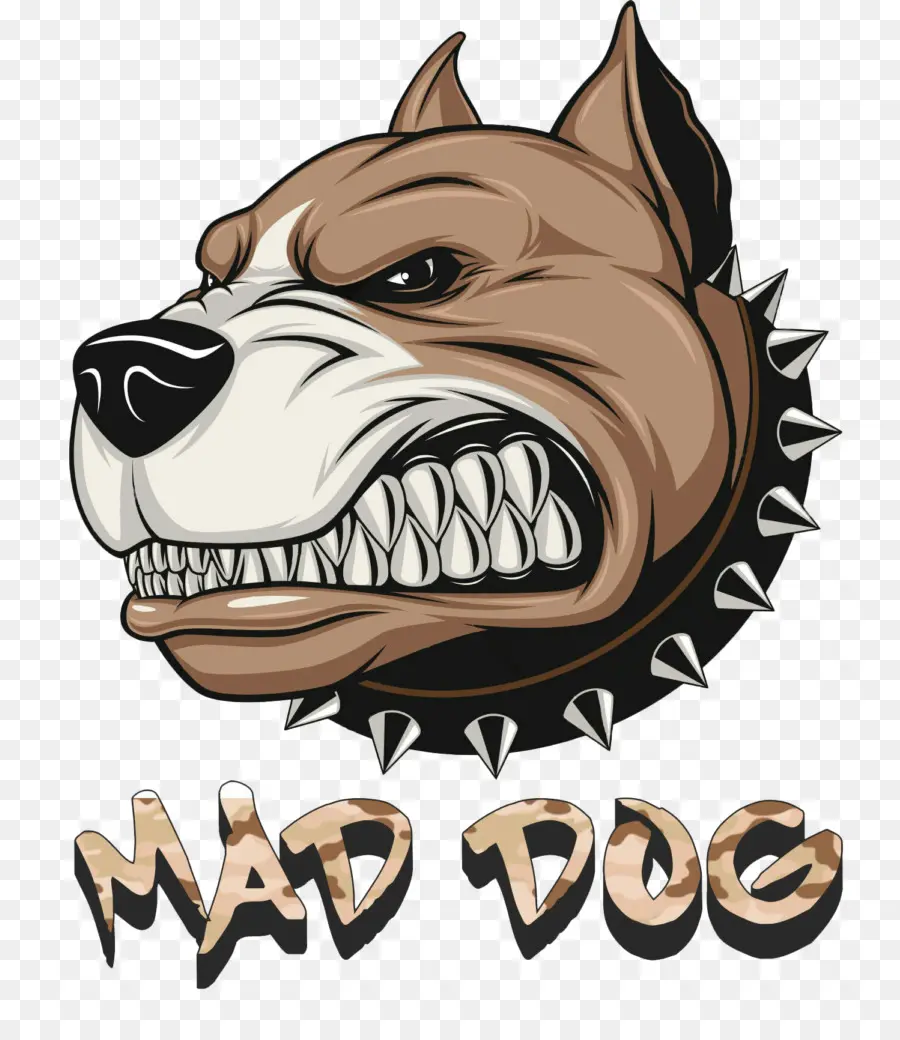 Pit Bull，Buldog PNG