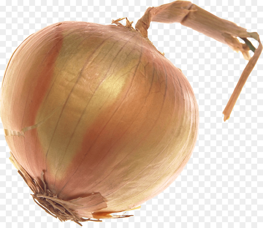 Allium Chinense，Cebolla Roja PNG