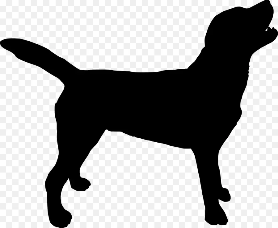 Labrador Retriever，Silueta PNG