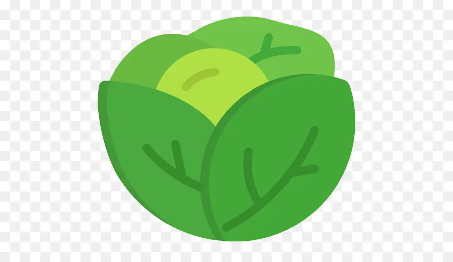 Lechuga，Iconos De Equipo PNG