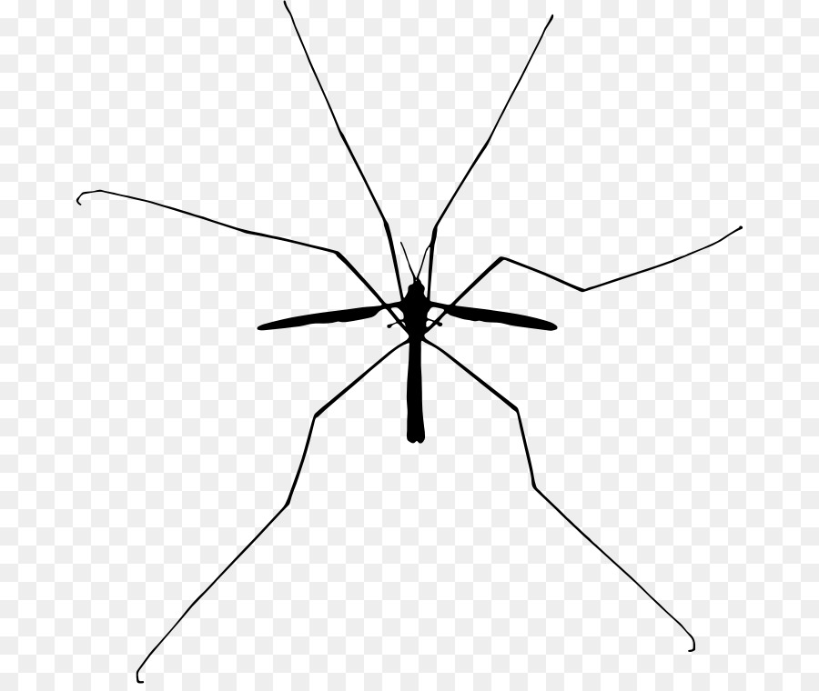 Mosquito，Bicho PNG