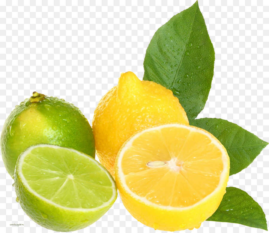 Limón Y Menta，Fresco PNG