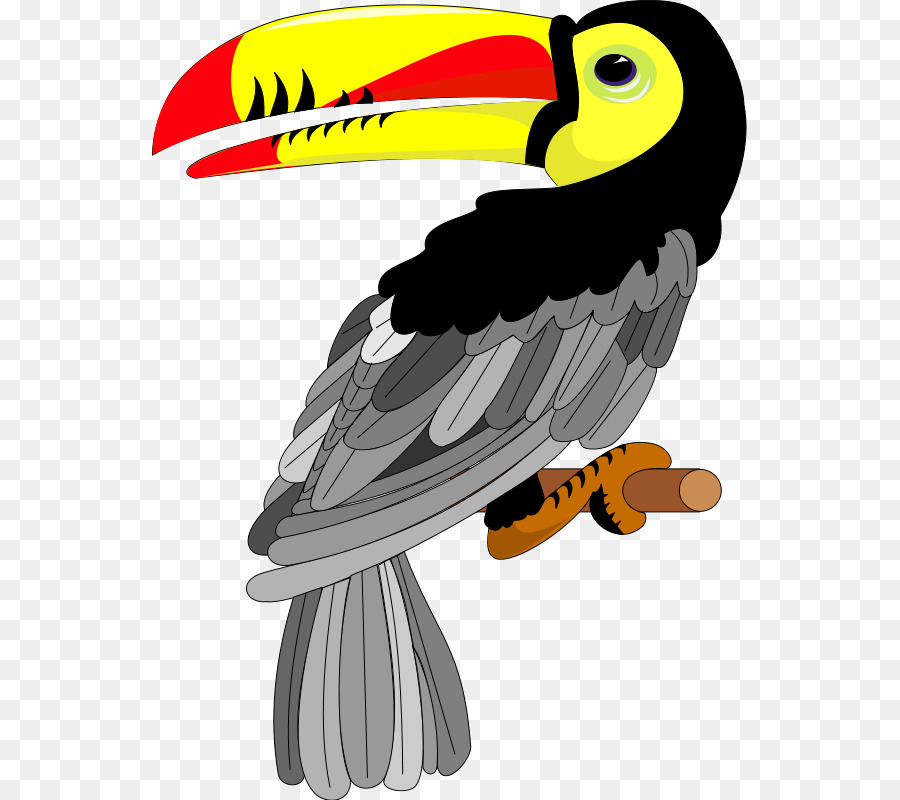 Tucán，Pájaro PNG