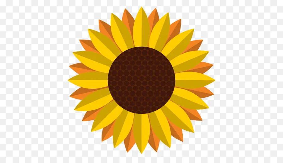 Girasol，Amarillo PNG