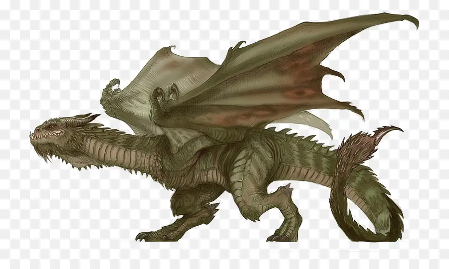 Dragón，Draco PNG