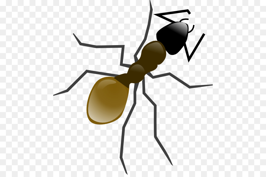 Ant，Iconos De Equipo PNG