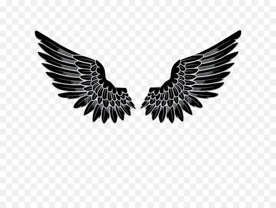 Logotipo，ángel PNG